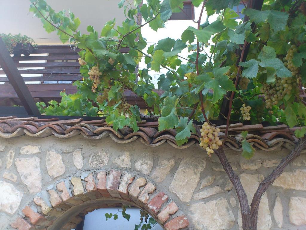 Villa Nasco Golden Sands Exteriör bild